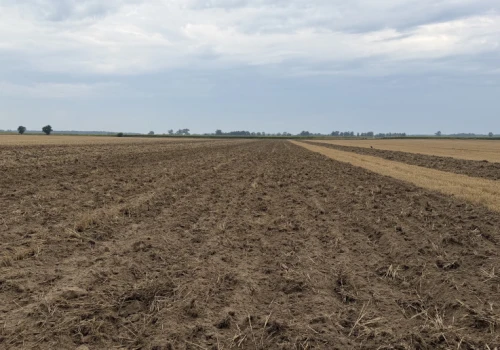 Gruber czy talerzówka? Sprawdzamy, co lepsze do uprawy