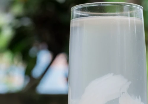 Niepozorny napój z zielonego kokosa. Wspiera mięśnie i pomaga uzupełnić płyny
