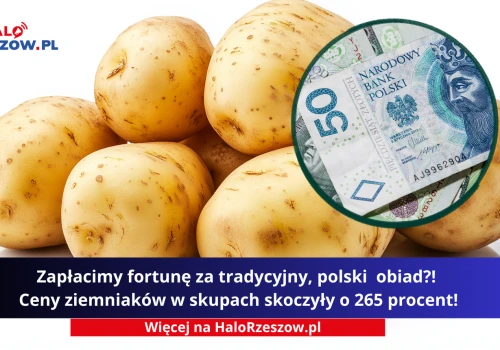 Zapłacimy fortunę za tradycyjny, polski obiad?! Ceny ziemniaków w skupach skoczyły o 265 procent!