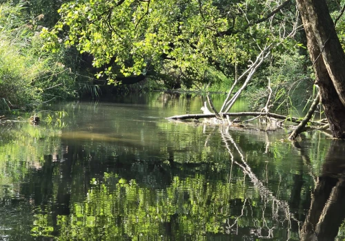 Susza hydrologiczna w Polsce. Rzeki biją kolejne rekordy niskich stanów wody