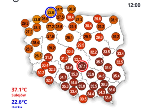 Na godzinę 12:00 rekord gorąca padł w Sulejowie! Termometry pokazały ponad 37 stopni
