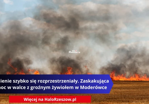 Płomienie szybko się rozprzestrzeniały. Zaskakująca pomoc w walce z groźnym żywiołem w Moderówce