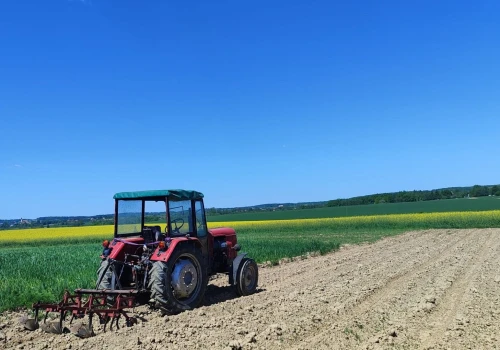 Raport: Rolnictwo i energetyka filarami bezpieczeństwa