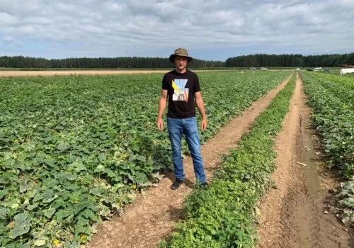 Przetwórnia dawała 3 zł/kg. Rolnik podjął decyzję: „Zapraszam na samozbiory”