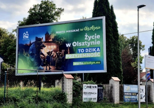 „Dzika przyjemność mieszkać w Olsztynie”. Ruszyła nowa forma promocji miasta