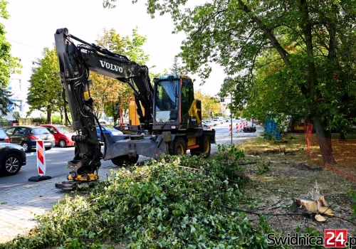 Trwa budowa nowych parkingów na terenie miasta. W ramach prac przewidziano wycinkę zieleni