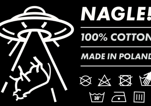 Nagle Comics szykuje ubrania? W sieci pojawiła się marka Nagle Wear