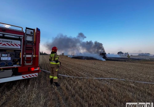 Pożar ścierniska i prasy do słomy w Gliwicach. Na miejscu 29 strażaków
