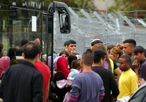 Blisko 100 nielegalnych imigrantów z Afryki dotarło do Estonii. Granicę Unii przekroczyli od strony Białorusi