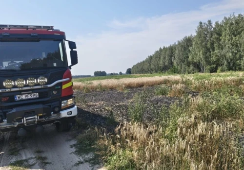 Pożar pola uprawnego w Aleksandrowie. Do akcji ruszyli strażacy