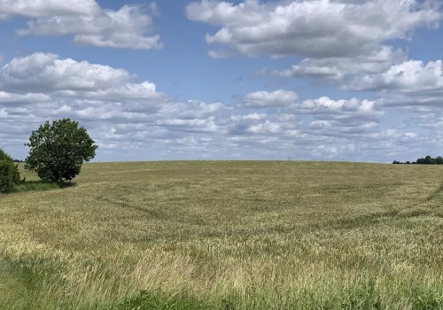 Działka przeszła na gminę. Czy właścicielowi należy się odszkodowanie?
