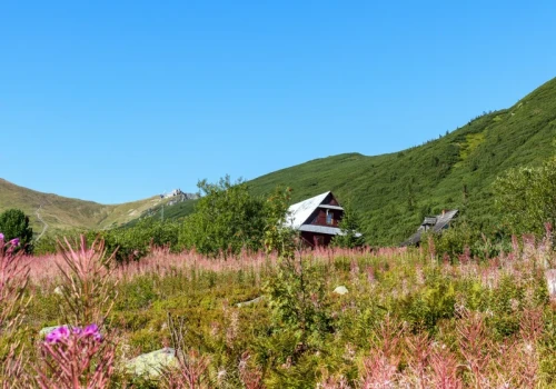 To zdjęcie stało się wakacyjnym hitem. Tysiące osób ruszają w Tatry o świcie