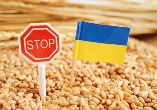 Ukraina zabiega o rozszerzenie kanałów solidarności UE dla eksportu zboża. Gdzie Kijów upchnie swoje ziarno?