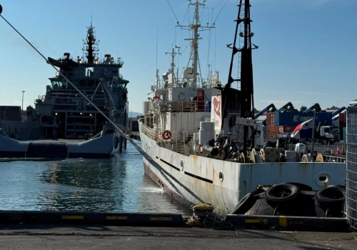 Islandia wydali 21 aktywistów. Chcieli powstrzymać polowanie na wieloryby