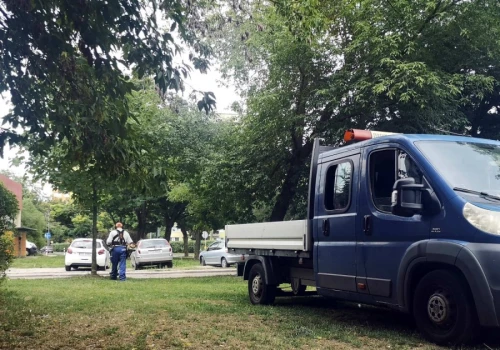 Kwietne łąki nie dla Konina. Kosiarki znów wygrały z naturą