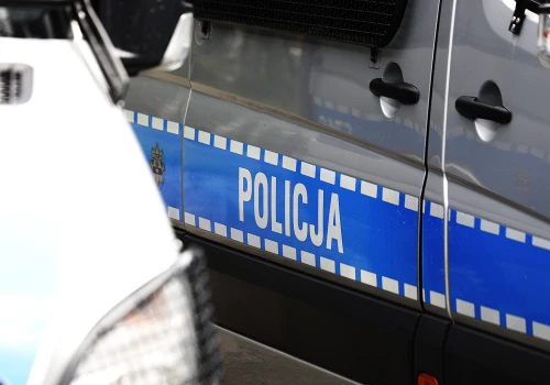 Truchła szczeniąt i ponad 200 psów ujawnili policjanci na terenie Kielc