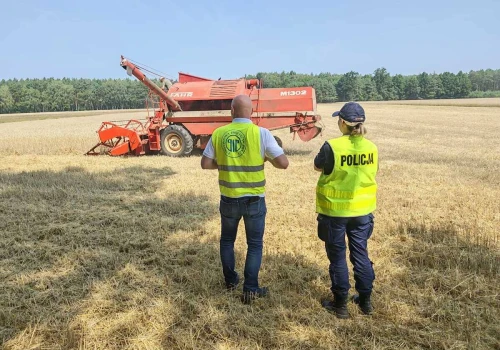 Policja przyjeżdża na pola w czasie żniw. W jakim celu?