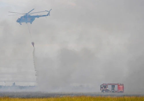 Pożary lasów i pól na Węgrzech. Nie żyje 84-letni mężczyzna