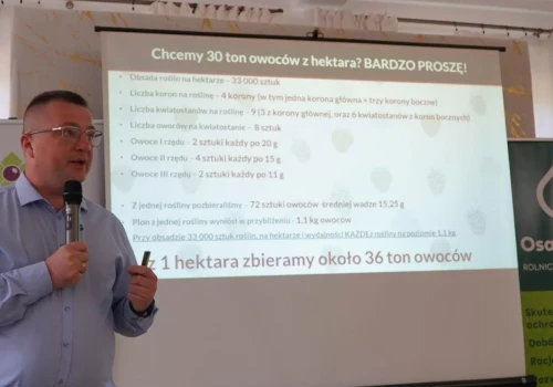 30 ton truskawek z hektara – czy taki wynik jest realny?