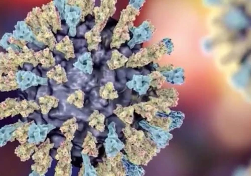 Epidemia cyklosporozy zmienia nawyki konsumentów. Lokalne farmy w Chicago zyskują nowych klientów