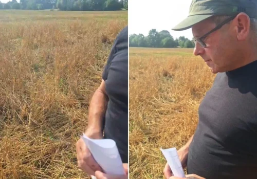 200 zł za szkody w 2,5 ha owsa? Rolnik grzmi: „To jest śmiech”