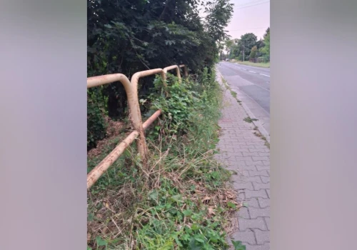 Zarastający chodnik na Wolności w Zbrosławicach. Mieszkańcy oburzeni: „Idziemy jak gąski”