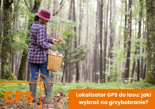 Lokalizator GPS do lasu: jaki wybrać na grzybobranie?