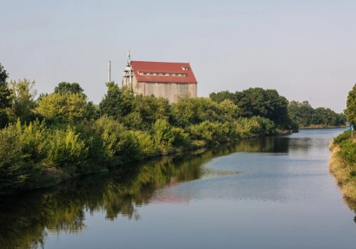 Złota alga w Kanale Gliwickim. Służby podejmują działania prewencyjne