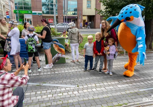 Wirtualny spacer po Dolinie Dolnej Odry w centrum Szczecina