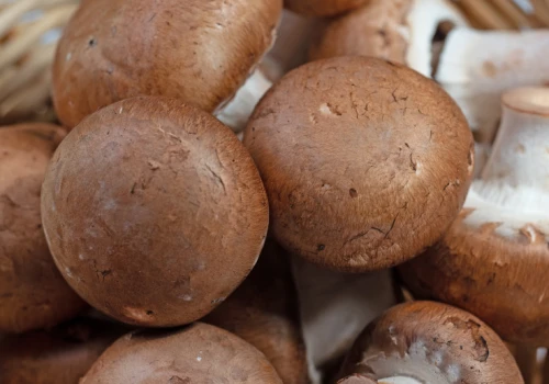 Naturalne paliwo dla mikrobioty. Ekspertka: wybieraj brązowe i jedz 100 g dziennie