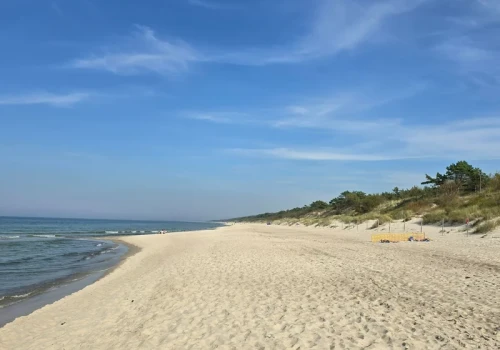 Masowe zatrucia nad polskim morzem. Wprowadzono kwarantannę