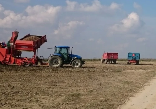 Rząd zmienia dopłaty dla rolników. Już wiem, kto na tym zyska