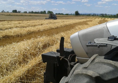 Gorąca kabina, brak nawiewu i wiele godzin pracy. To grozi rolnikom podczas upałów