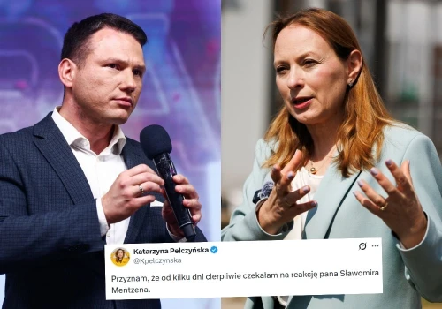 Mentzen krytykowany za wymiękanie, kiedy polityk AfD obraża Polaków