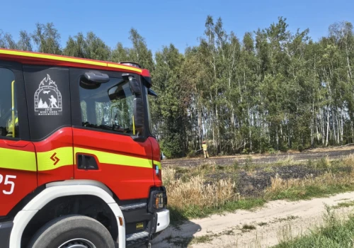 Płonęło rżysko i pole uprawne. Ogień strawił niemal hektar pól w gminie Nasielsk