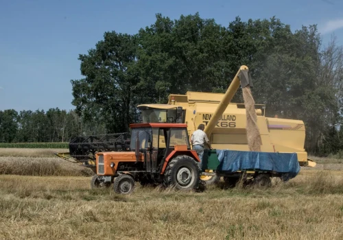 Najgroźniejszy wróg podczas żniw? Rolnicy muszą uważać