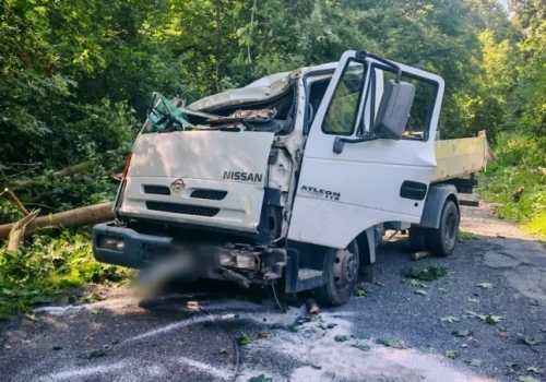 Drzewo zgniotło kabinę dostawczego Nissana. Ranny kierowca trafił do szpitala