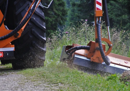 Świnoujście szuka firmy do koszenia trawników i pilnowania zieleni. Cztery rejony, cztery osobne przetargi