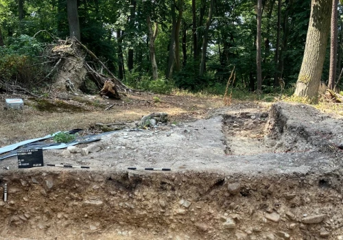 To wyrosło spod ziemi. W Niemczech odkryto ślady grobowca sprzed 6000 lat