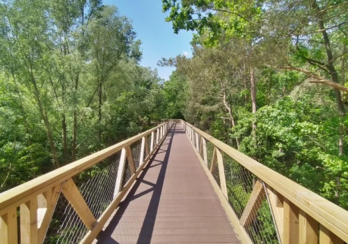 Grzyb pożarł słynną atrakcję. Kosztowała 4 mln zł, nadaje się tylko do rozbiórki