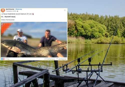 Wędkarz złowił ogromnego suma w Holandii. Przekroczył 