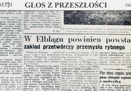 W Elblągu powinna powstać przede wszystkim wytwórnia konserw (Głos z przeszłości, odc. 260)