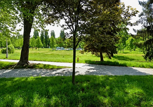 Blisko milion złotych na nowe atrakcje na Plantach Mistrzejowickich. Są trzy oferty