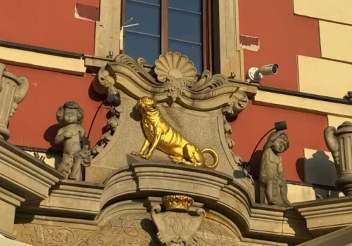 Pies miał czekać na pana aż do śmierci. Teraz strzeże najmłodszej kamienicy na wrocławskim Rynku