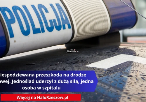 Niespodziewana przeszkoda na drodze krajowej. Jednoślad uderzył z dużą siłą, jedna osoba w szpitalu