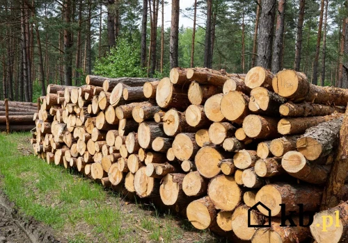 Pellet może mocno podrożeć. Nowy fundusz rządowy za 3 mld zł zwiększy popyt na biomasę