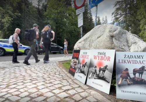 Bambinizm kontra wieś. Wojna o konie pod Morskim Okiem