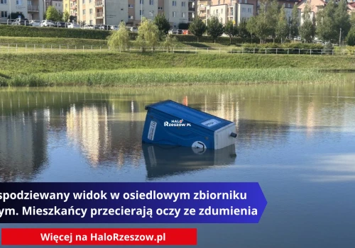 Niespodziewany widok w osiedlowym zbiorniku wodnym. Mieszkańcy przecierają oczy ze zdumienia