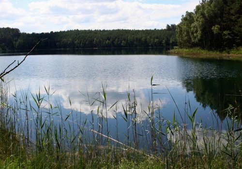 Małe samorządy boją się powiększenia granic parku