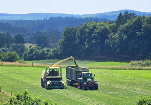 Powiat sprzedaje 83 ha ziemi rolnej za 3,9 mln zł. Cena wygląda kusząco, ale są haczyki